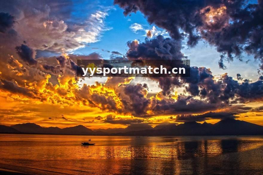 YY体育 多端同步的体育资讯阅读场景